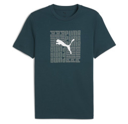 Koszulka GRAPHIC BOX TEE zielona